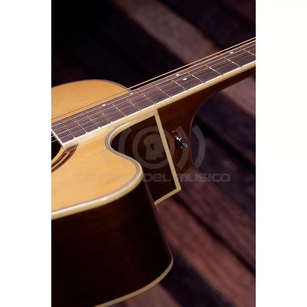 GUITARRA WASHBURN AG70CE - Imagen 3