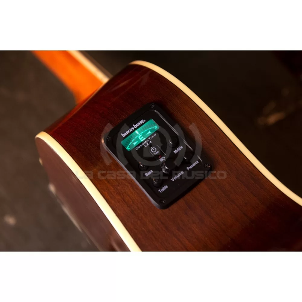 GUITARRA WASHBURN AG70CE - Imagen 2