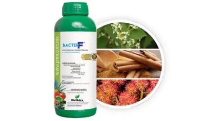Bactericida y Fungicida Orgánico para Plantas Bacter-F | 1L