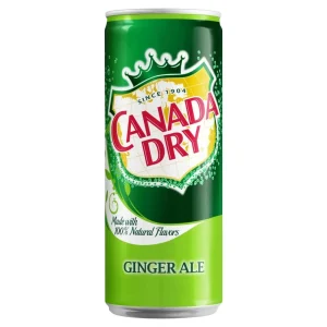 Canada Dry Ginger Ale (24 x 0,33 Liter blik PL)