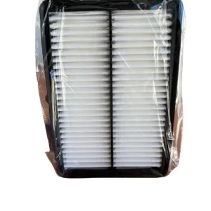 Filtro Aire Onnuri Hyundai Tucson