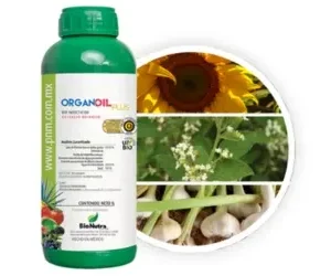 Insecticida Orgánico con Ajo y Orégano Organ Oil – 1 Litro
