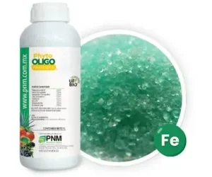 Fertilizante Foliar con Micronutrientes Phyto Oligo Múltiple 1 L