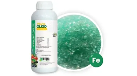 Fertilizante Foliar con Micronutrientes Phyto Oligo Múltiple 1 L