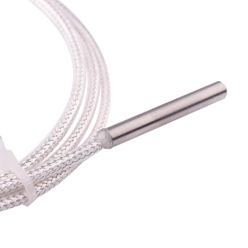 PT100-0.5M - Imagen 2