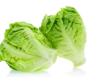 Sobre de Semilla de Lechuga Baby Sucrine