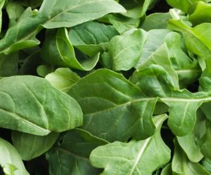 Gramo de Semilla Arúgula