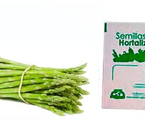 Gramo de Semilla de Esparrago Var Mary Washington