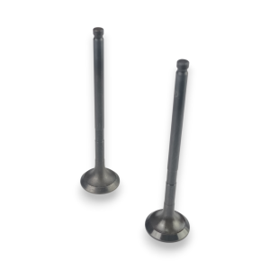 Kit válvulas admisión y escape Toyota 2KD 2.7