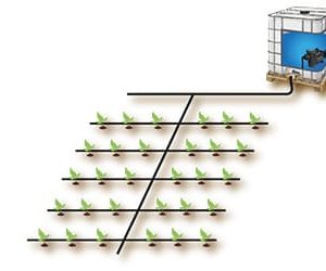 Equipo Automatizado de Riego para 30 Plantas