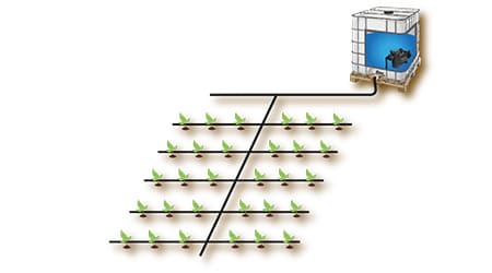 Equipo Automatizado de Riego para 30 Plantas