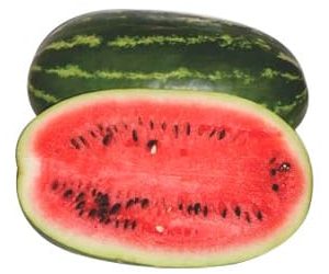 Sobre de 1000 Semillas Sandia Híbrida Dulce F1