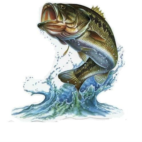 Nylon Hilo Pesca 0.60mm Transparente - Imagen 4