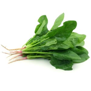 Semilla De Espinaca Hortalizas Cultivo Huerta