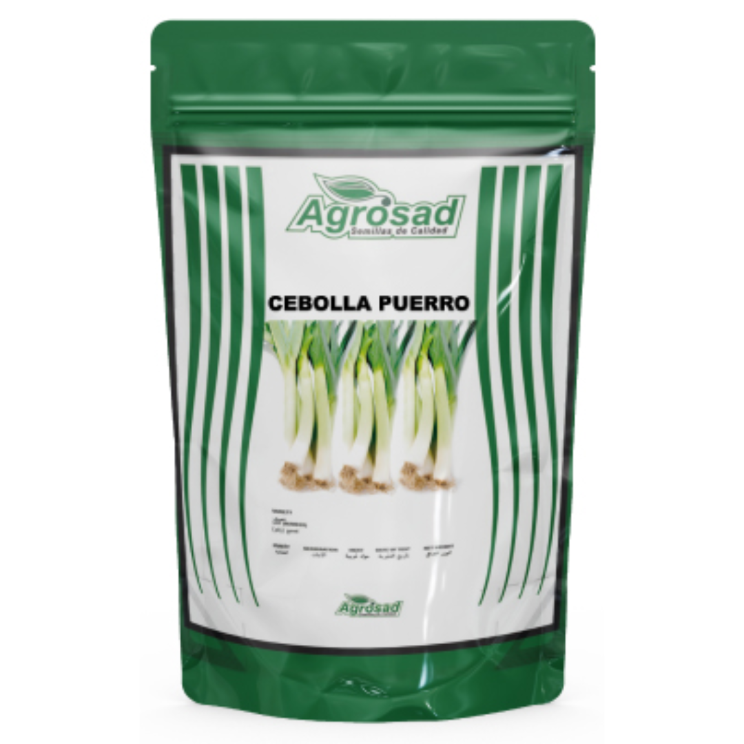 Cebolla Puerro Variedad Puerro American Flag - Imagen 2