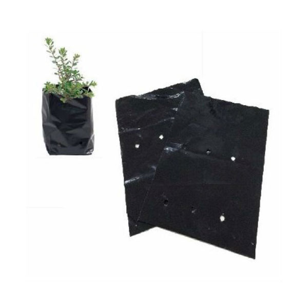FUNDA DE VIVERO PERFORADA 12″ x 18″ - Imagen 2